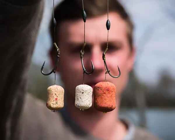 تجهیزات مناسب برای ماهیگیری کپور