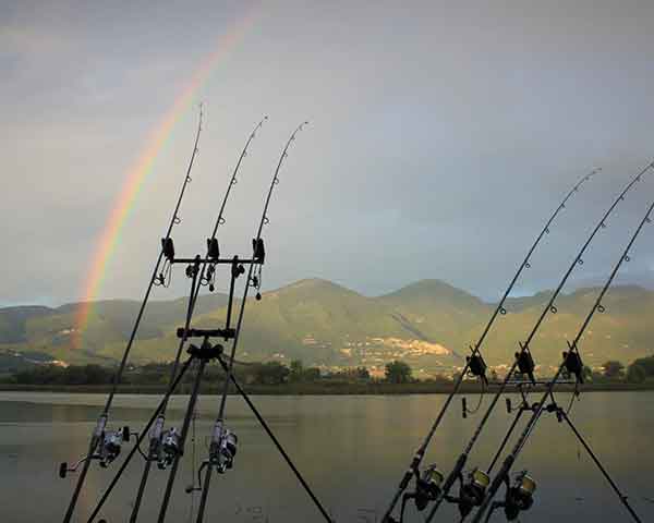 تجهیزات مناسب برای ماهیگیری کپور