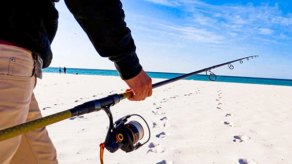 معرفی چوب تخصصی ساحلی آب شور - هر آنچه باید بدانید 2 معرفی چوب تخصصی ساحلی