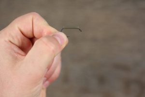 راهنمای بستن ریسه اسپینر Spinner Rig - تصویر 1