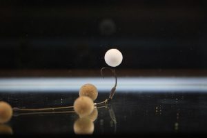 راهنمای بستن ریسه اسپینر Spinner Rig - تصویر 12