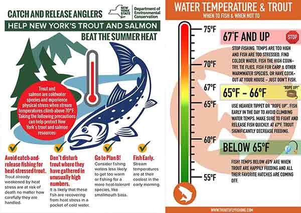 تکنیکهای پیشرفته صید قزلآلا در رودخانه – راهنمای کامل 7 بهترین زمانها برای صید قزلآلا