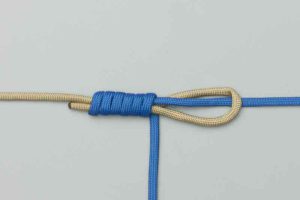 گره ماهیگیری آلبرایت (Albright Knot)