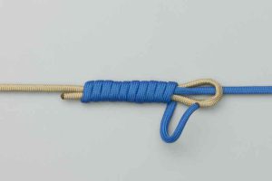 گره ماهیگیری آلبرایت (Albright Knot)