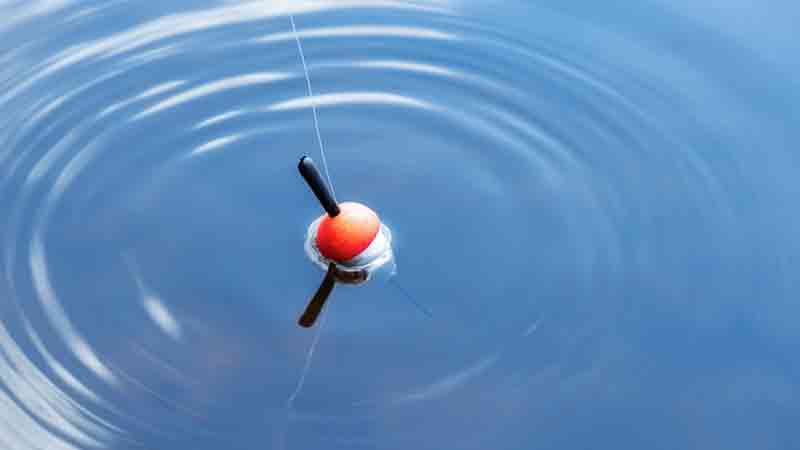 ماهیگیری در دریای خزر | آموزش صید از ساحل و اسکله 5 ماهیگیری در دریای خزر | آموزش صید از ساحل و اسکله