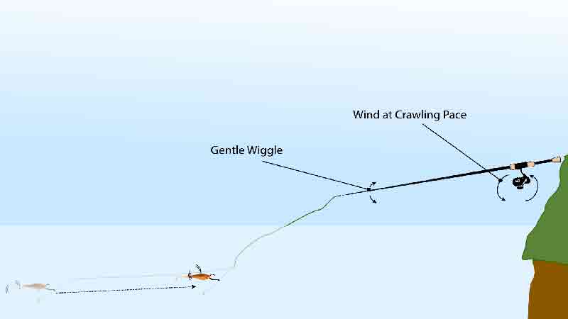 تکنیک‌های استفاده از دراپ شات برای صید قزل‌آلا