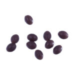 دانه تسبیحی ریسه چود و هلی کوپتری کایدا KDF 67-3