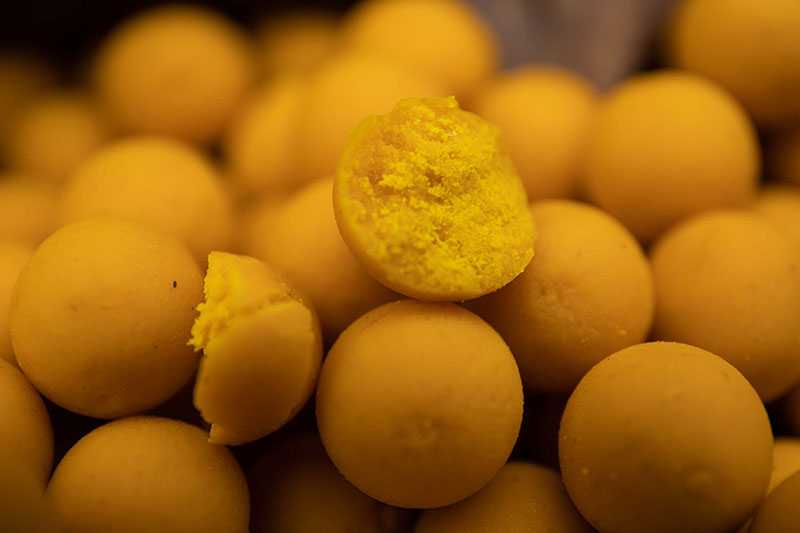 آموزش کامل صید ماهی کپور - راهنمای تجهیزات، طعمه و تکنیکها 5 چه رنگهایی کپور را جذب میکنند؟