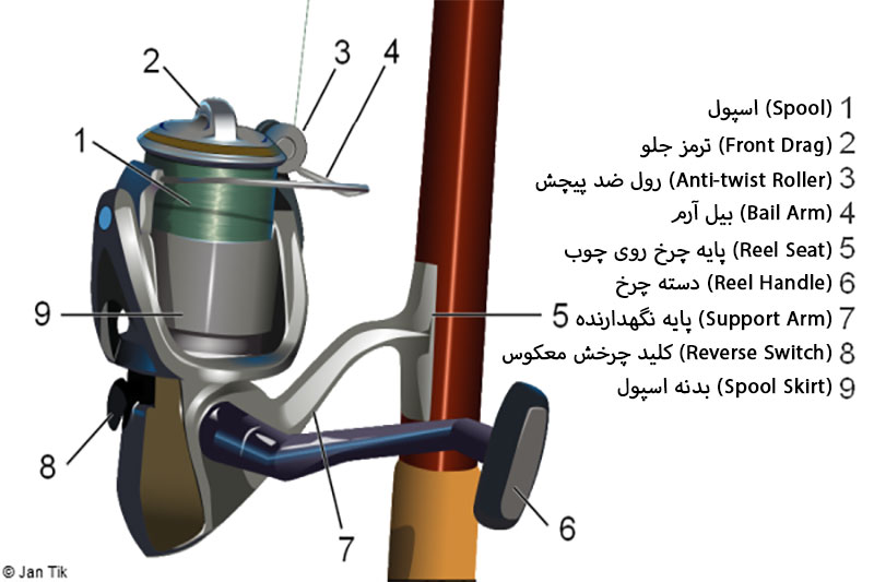 انتخاب چرخ مناسب برای صید کپور | راهنمای جامع 2025 2 انتخاب چرخ مناسب برای صید کپور | راهنمای جامع 2025
